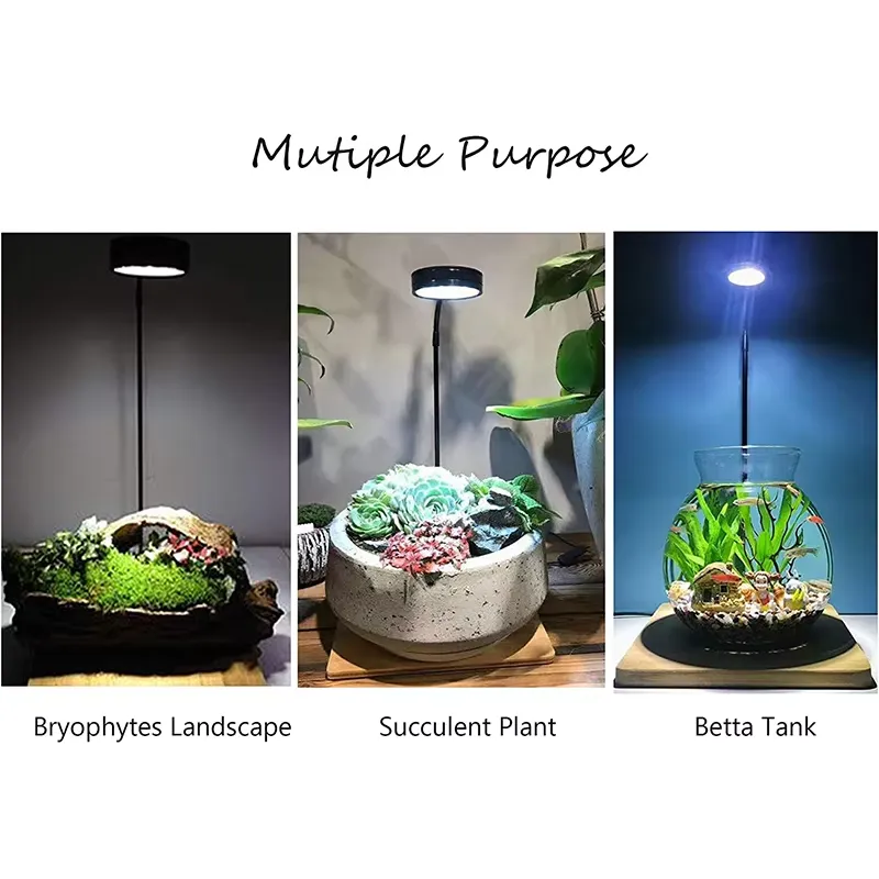 Lumière LED à spectre complet  - Planted Aquarium Betta avis et prix