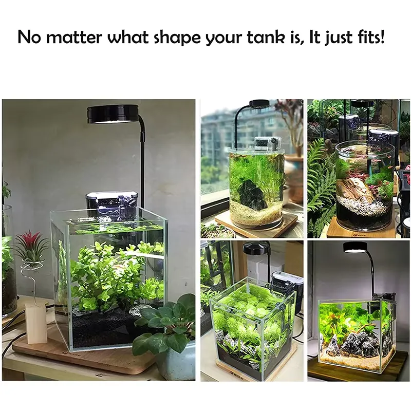 Lumière LED à spectre complet  - Planted Aquarium Betta avis et prix