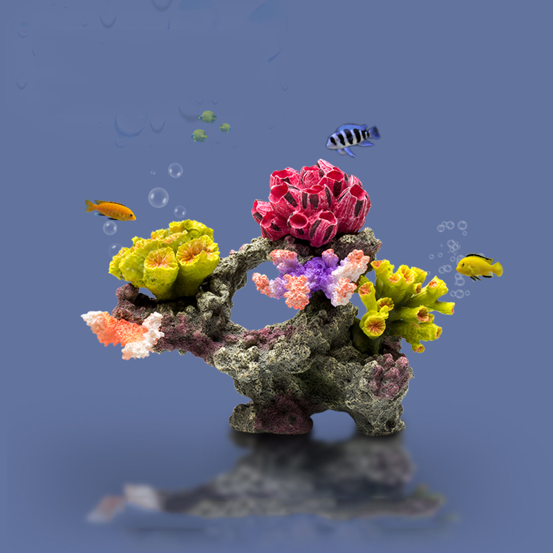 Betta Fishbowl Ornements pour  - Planted Aquarium Betta avis et prix