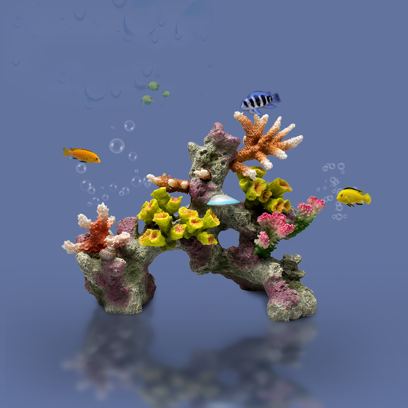 Betta Fishbowl Ornements pour  - Planted Aquarium Betta avis et prix