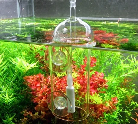 VIV Do-Dispositif d'Intervalle - Planted Aquarium Equipment avis et prix