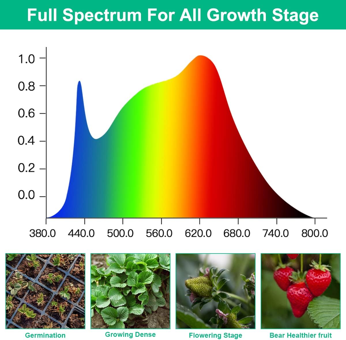LED élèvent des lampes plante  - Aquarium Planted Seeds avis et prix