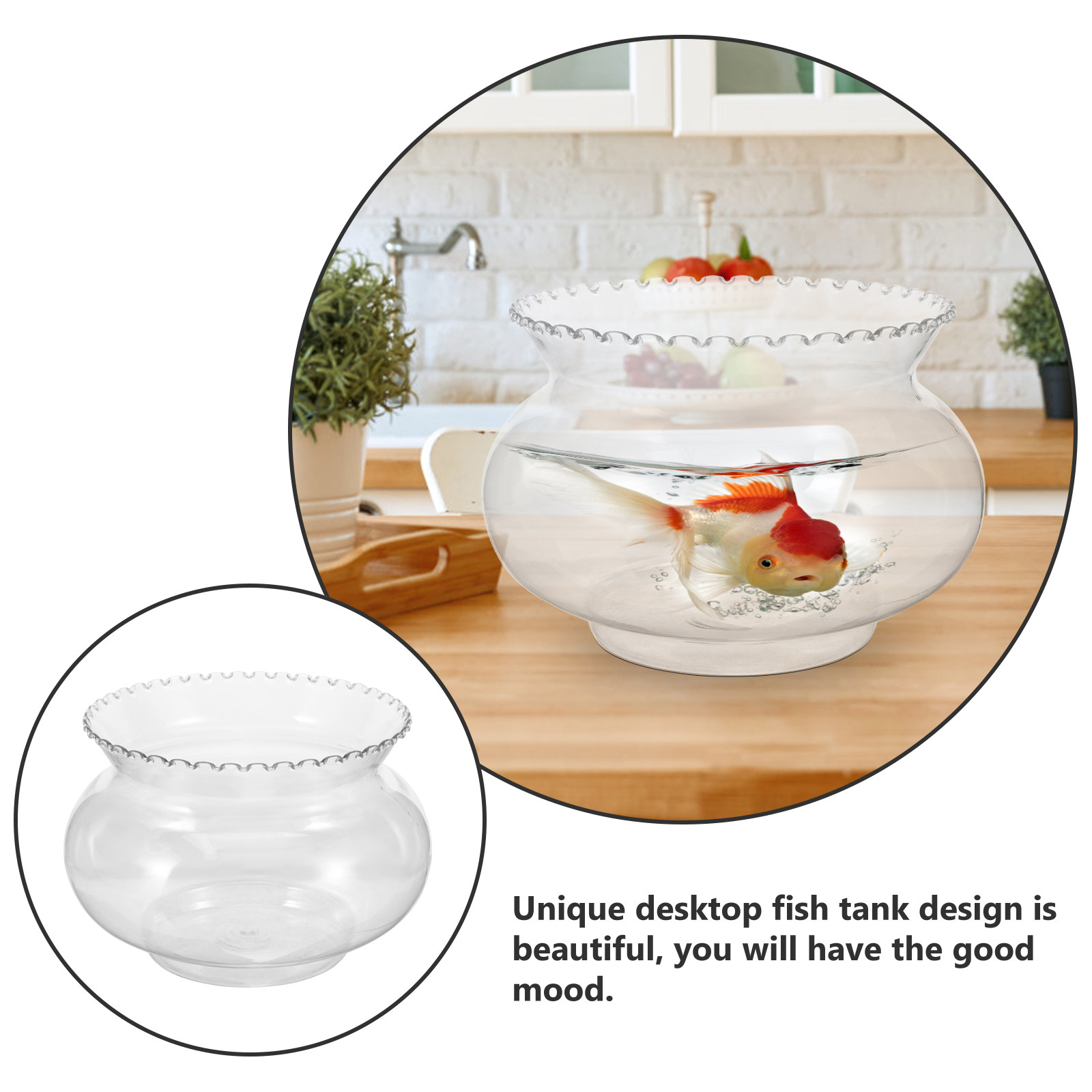 Aquarium de bureau en plastiqu - Planted Aquarium Betta avis et prix