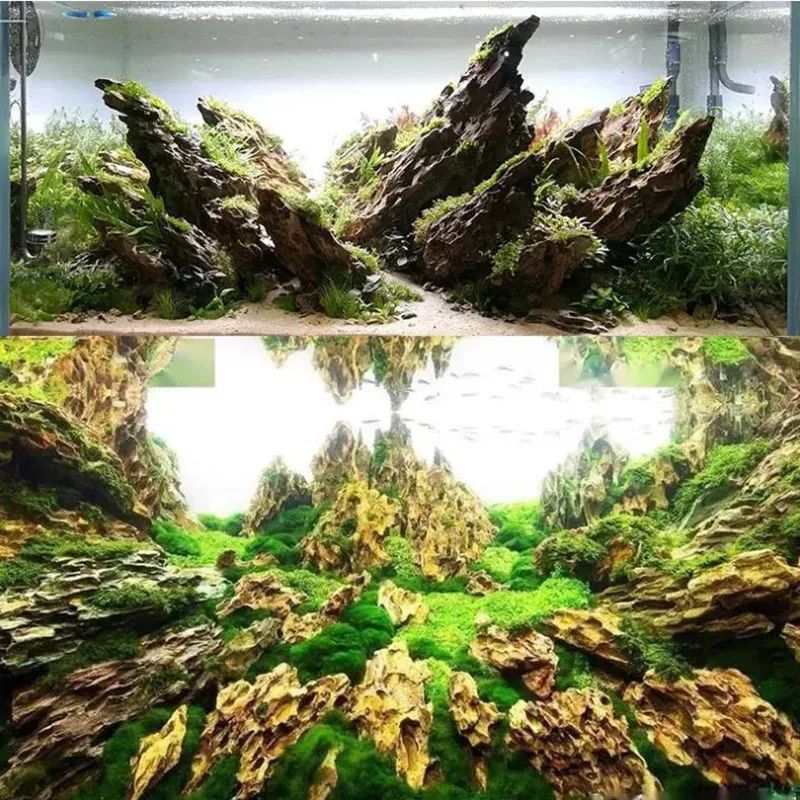 Pierre naturelle de décoration - Aquarium Planted Seeds avis et prix
