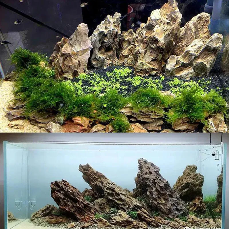 Pierre naturelle de décoration - Aquarium Planted Seeds avis et prix