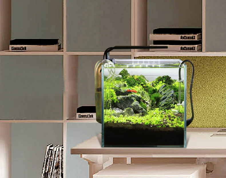 Chihiros série C ADA Style pla - Aquarium Plant Diseases avis et prix