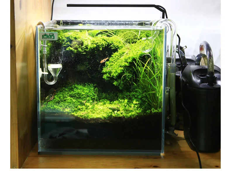Chihiros série C ADA Style pla - Aquarium Plant Diseases avis et prix
