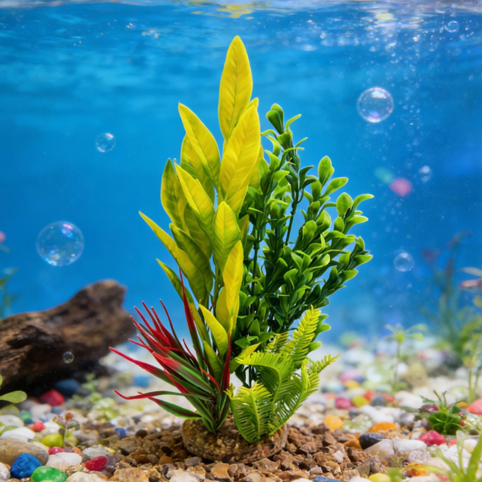 Plantes d'aquarium artificiell - Planted Aquarium Betta avis et prix