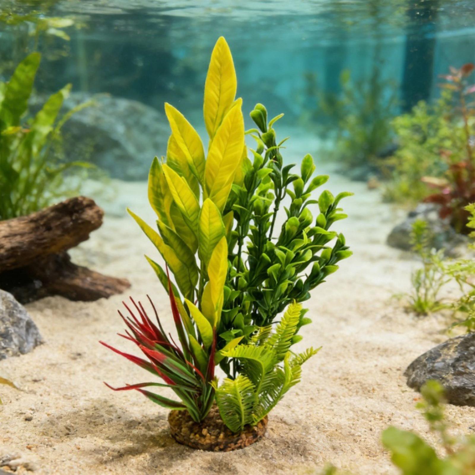 Plantes d'aquarium artificiell - Planted Aquarium Betta avis et prix
