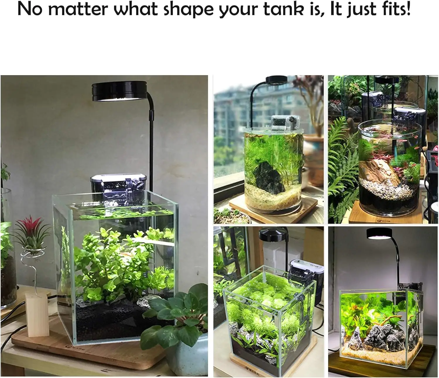 LED Aquarium élèvent la lumièr - Planted Aquarium Betta avis et prix