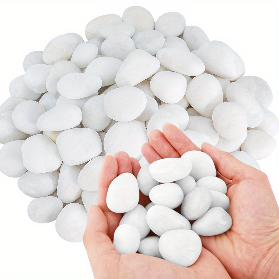 Cerfsets naturels blancs haute - Aquarium Planted Aquarium avis et prix