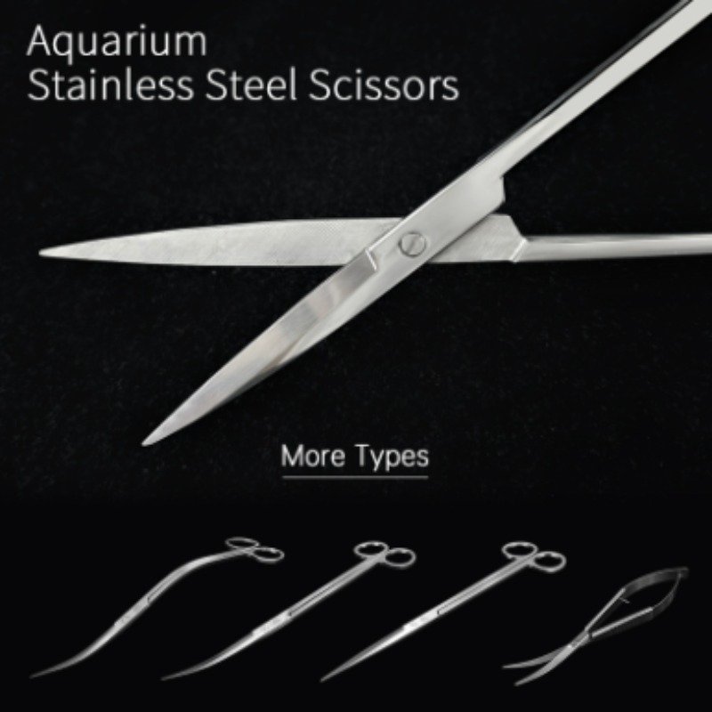Ciseaux aquatiques en acier in - Planted Aquarium Equipment avis et prix