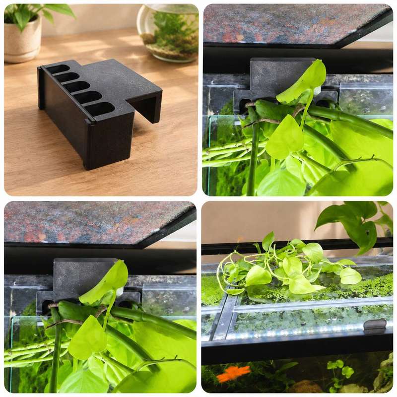 Support latéral pour plantes d - Aquarium Plant Diseases avis et prix