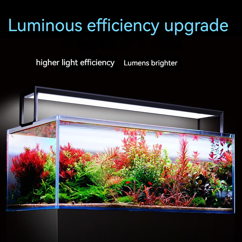 NETLEA 540S/590S Aquarium spec - Aquarium Plant Diseases avis et prix