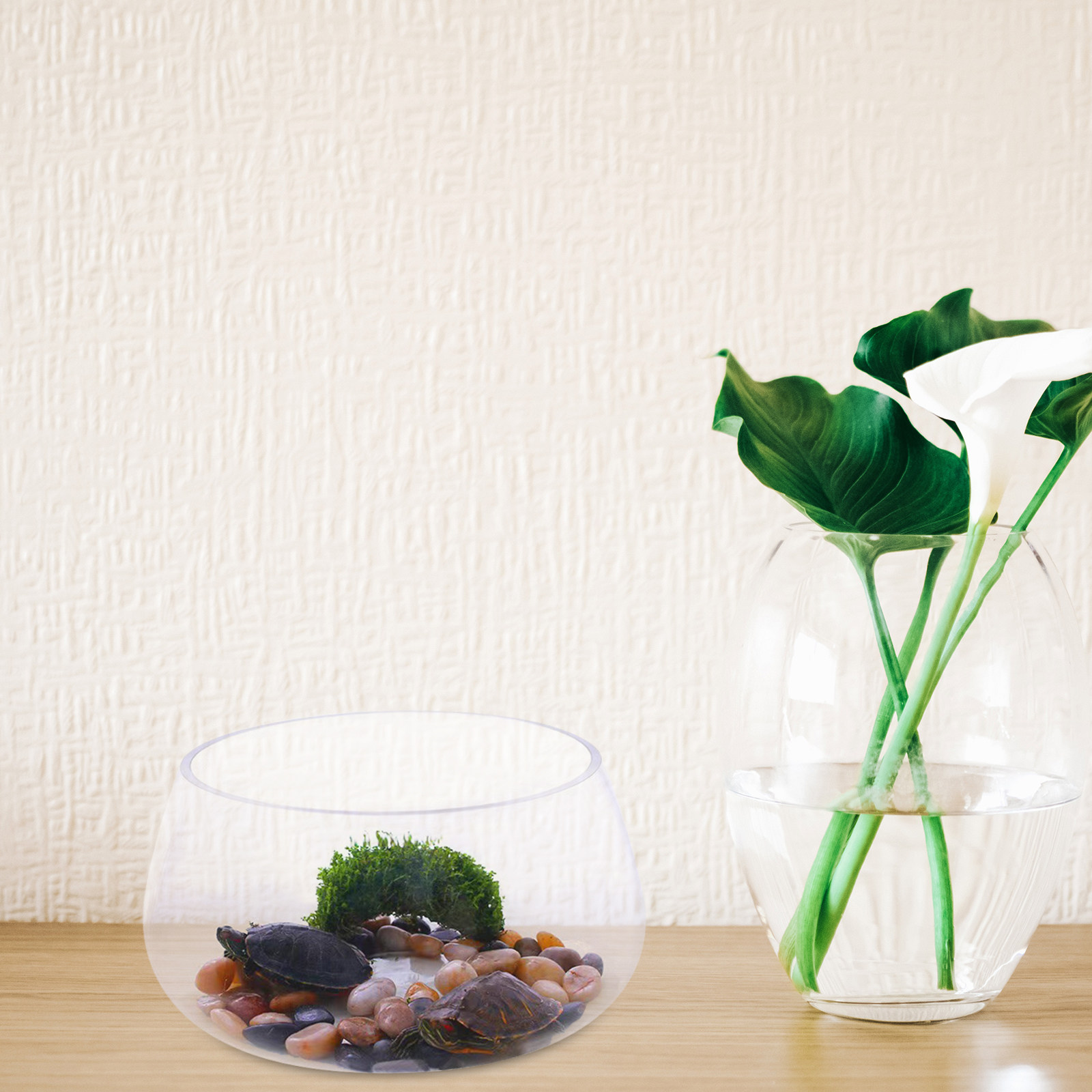 Mini aquarium rond en verre tr - Aquarium Planted Shop avis et prix