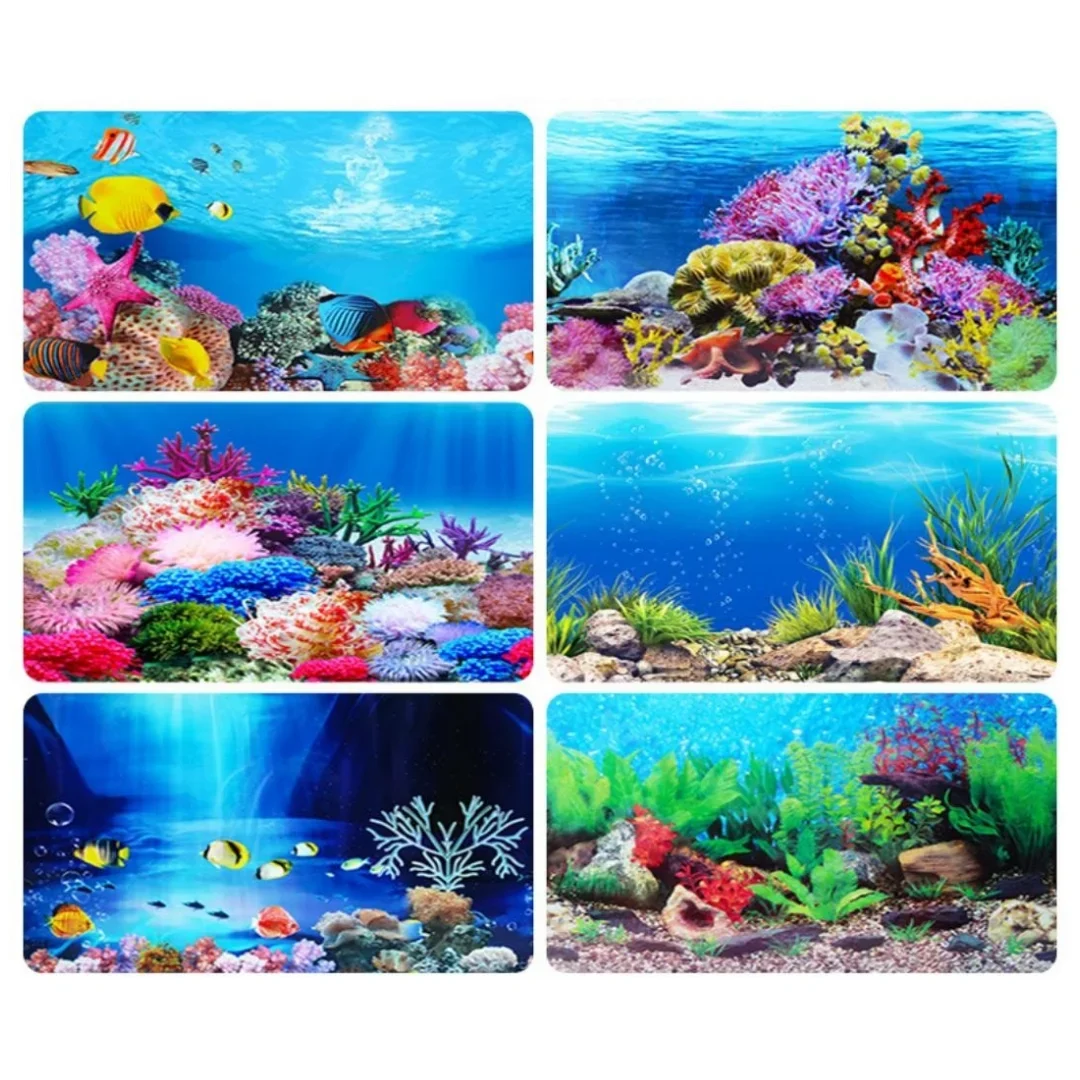 Autocollant 3D de Fond d'Aquar - Aquarium Planted Seeds avis et prix