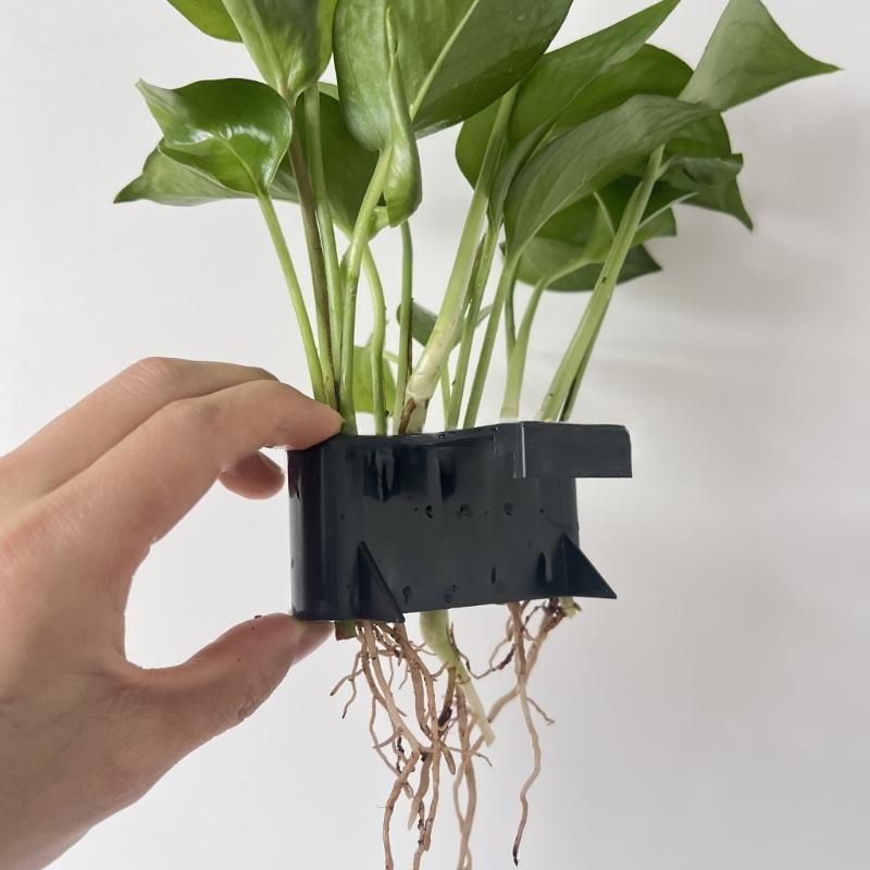 Water Planter paysage hydropon - Emersed Plants Aquarium avis et prix