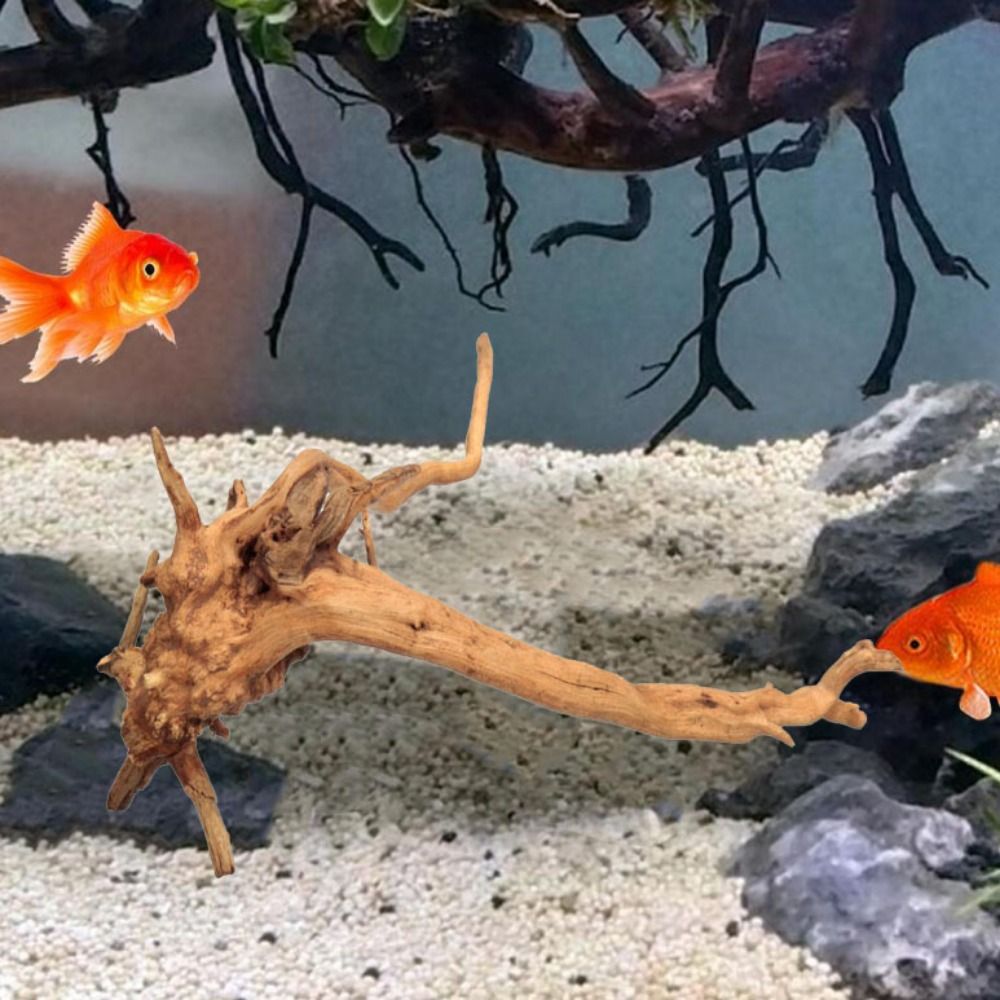 Tronc d'arbre naturel pour déc - Aquarium Planted Tree avis et prix