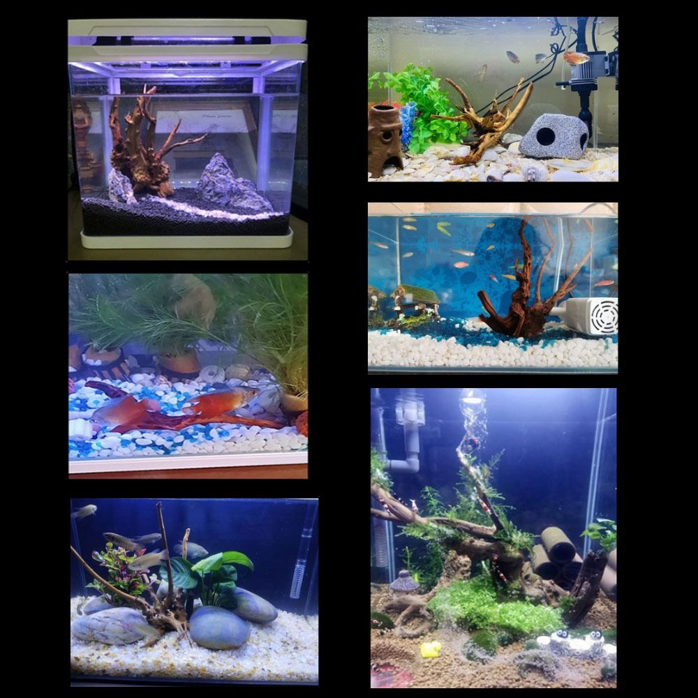 Tronc d'arbre naturel pour déc - Aquarium Planted Tree avis et prix