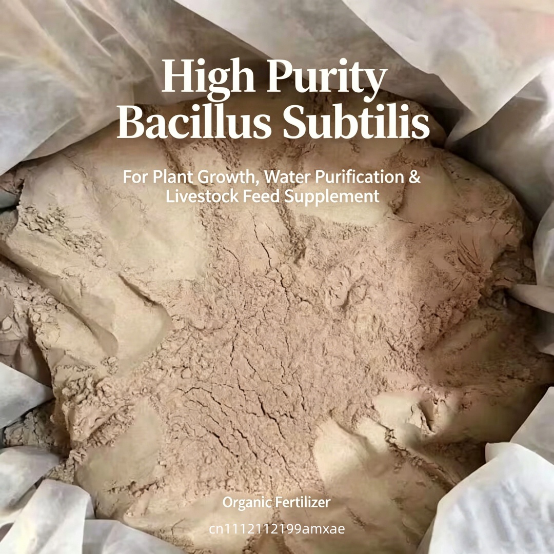 Poudre de Bacillus Subtilis à  - Aquarium Plant Diseases avis et prix