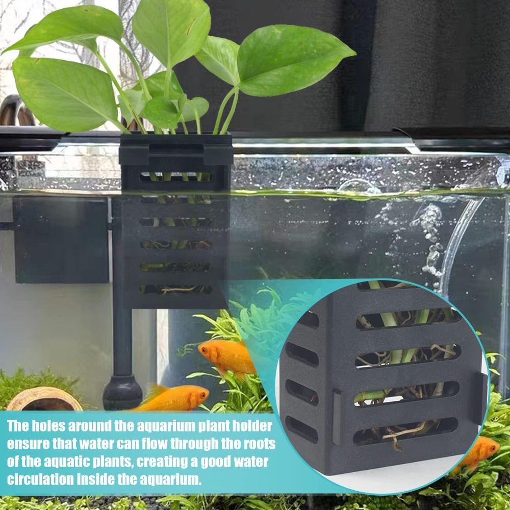 Porte-plante en verre pour aqu - Emersed Plants Aquarium avis et prix