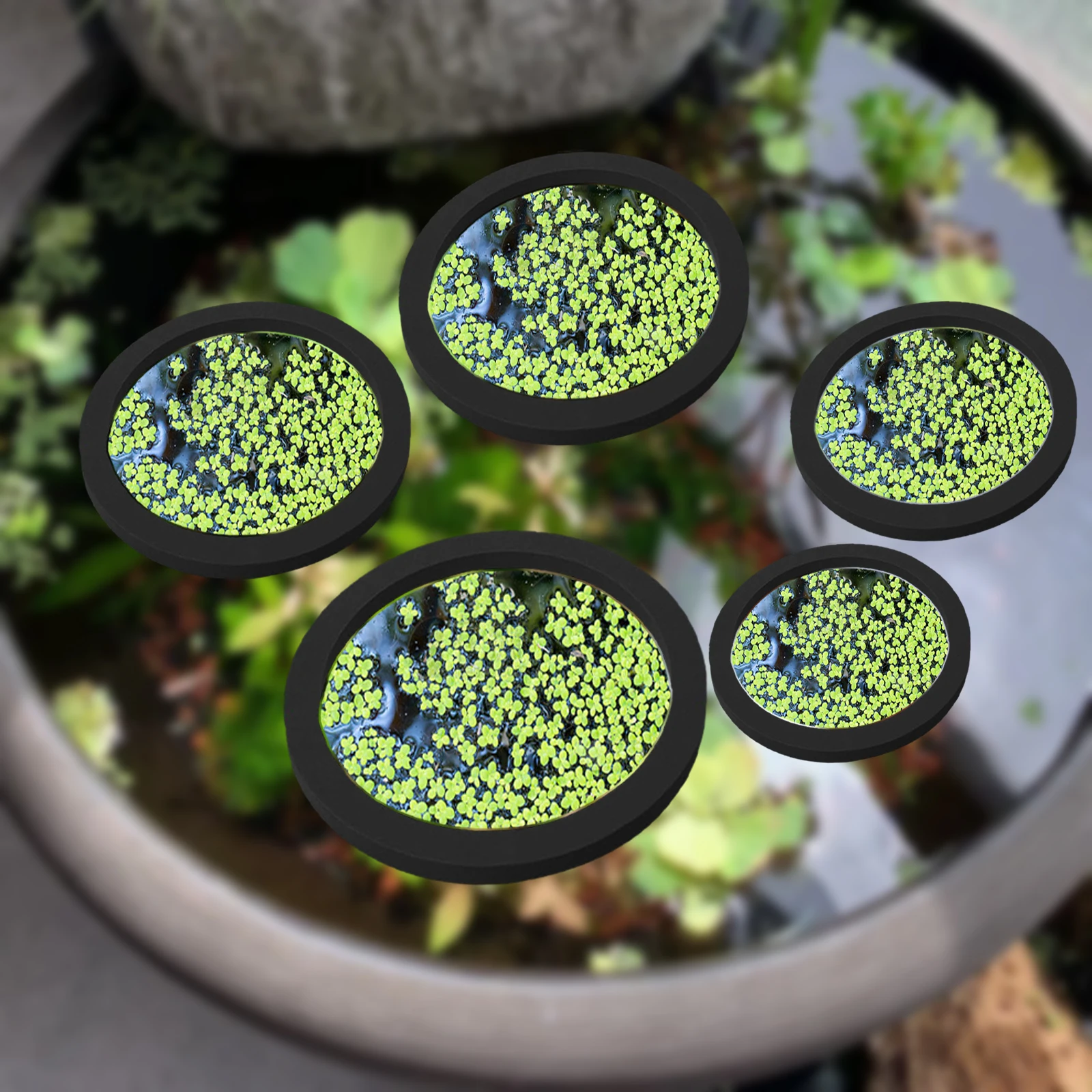 Anneaux d'Alimentation pour Aq - Aquarium Plant avis et prix
