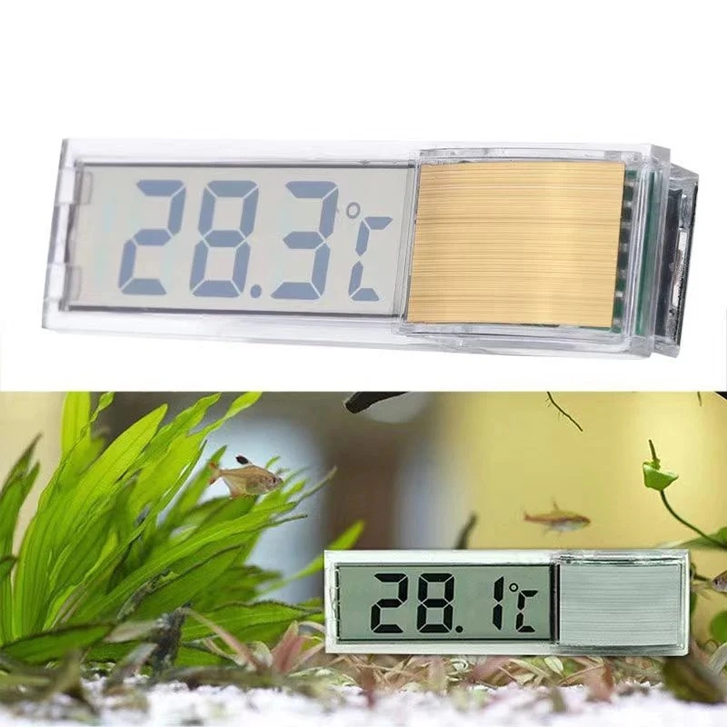 Thermomètre d'aquarium numériq - Aquarium Planted Seeds avis et prix