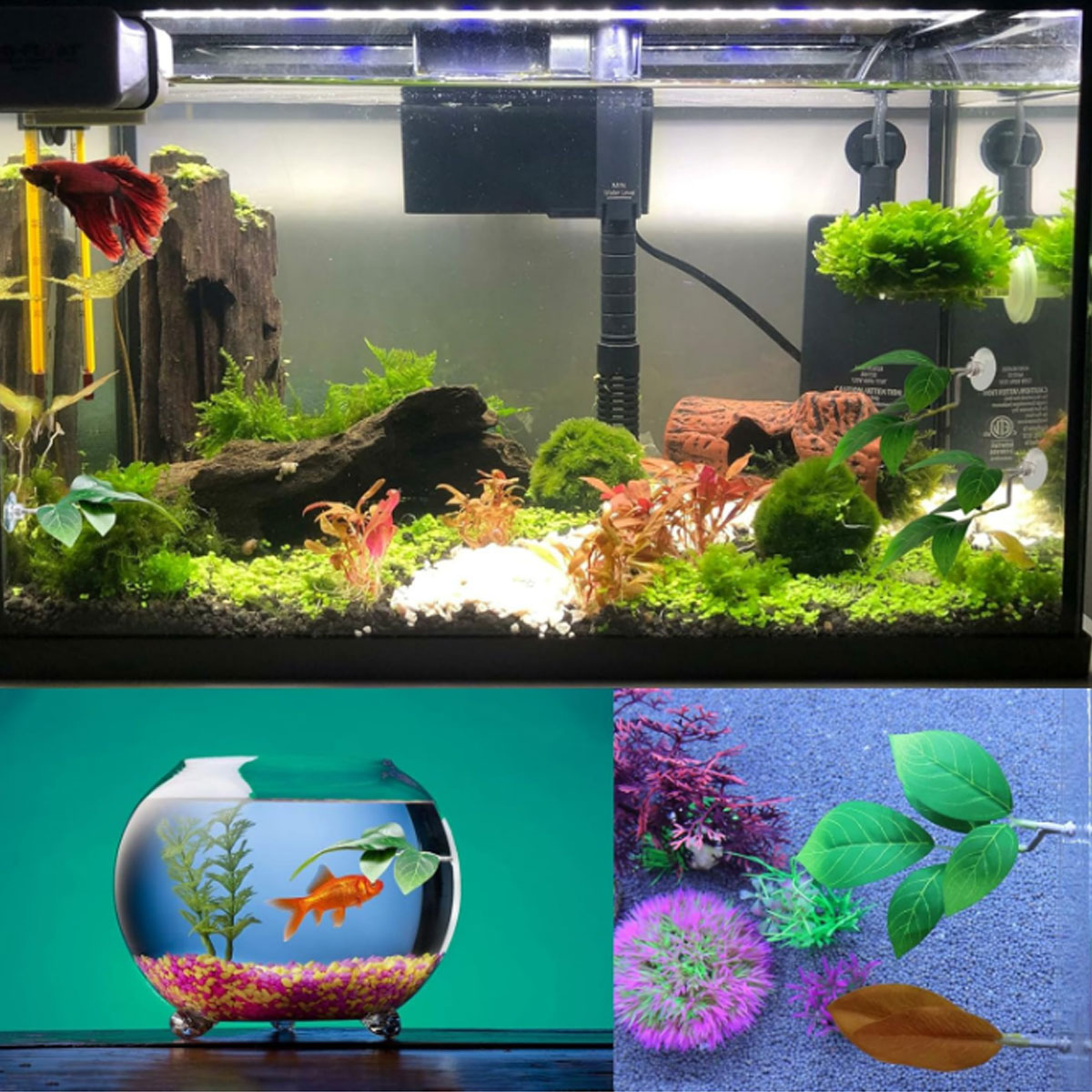 1 hamac pour poisson Betta, dé - Planted Aquarium Betta avis et prix