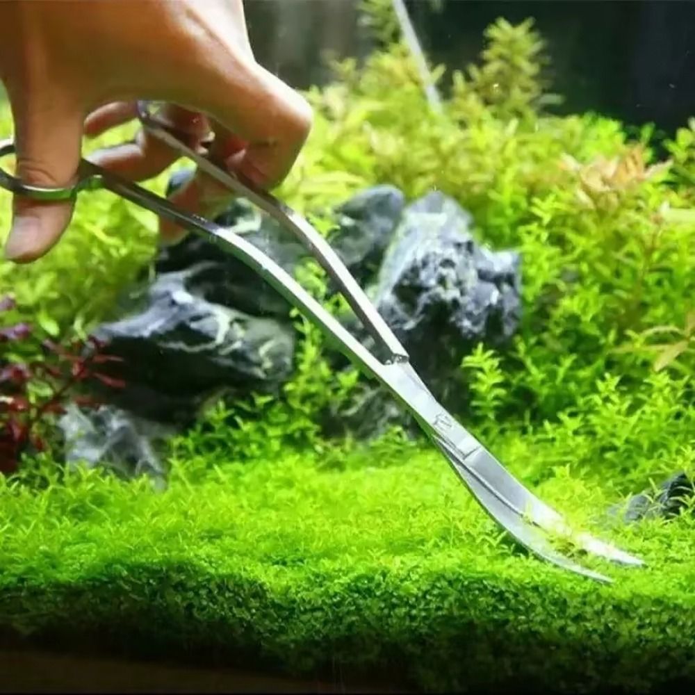 1 pièce Ciseaux d'aquarium en  - Aquarium Plant Grass avis et prix