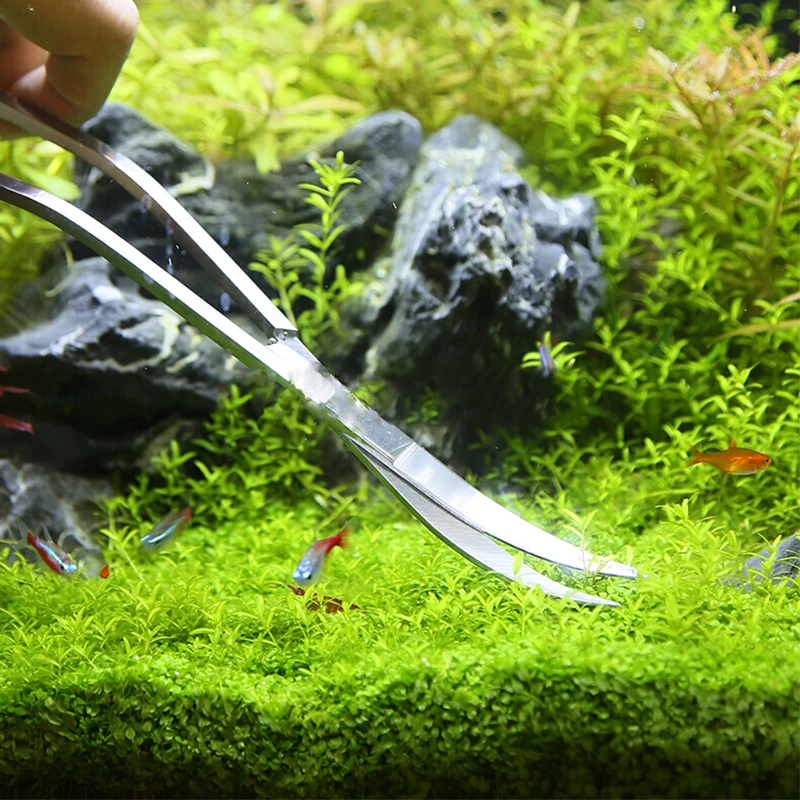 Outils de ciseaux d'aquarium,  - Aquarium Plant Grass avis et prix