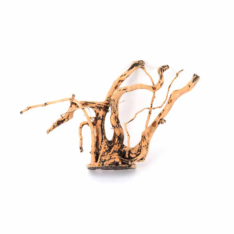 Décorations Naturelles en Gros - Aquarium Plants For Sale avis et prix