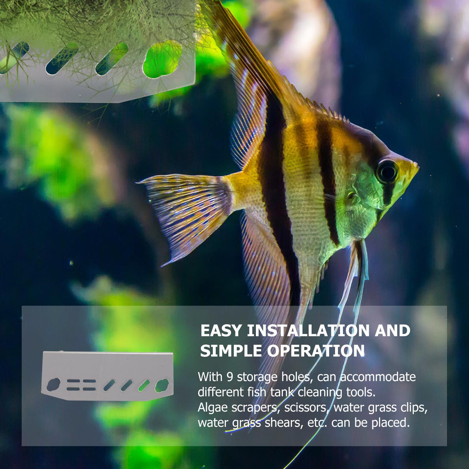 1 pièce Support d'organisation - Aquarium Plant Grass avis et prix