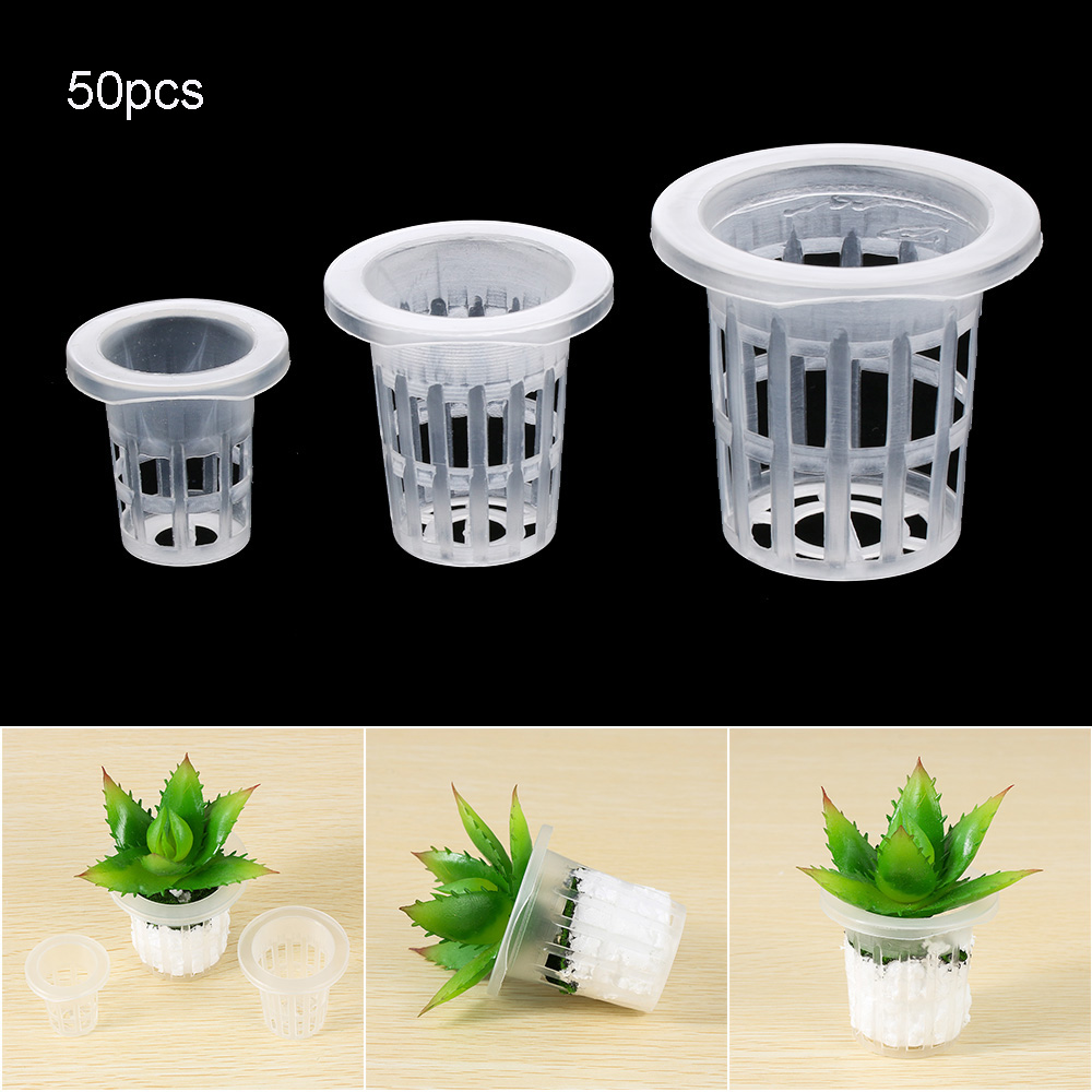 10/50pcs fournitures de jardin - Aquarium Planted Seeds avis et prix