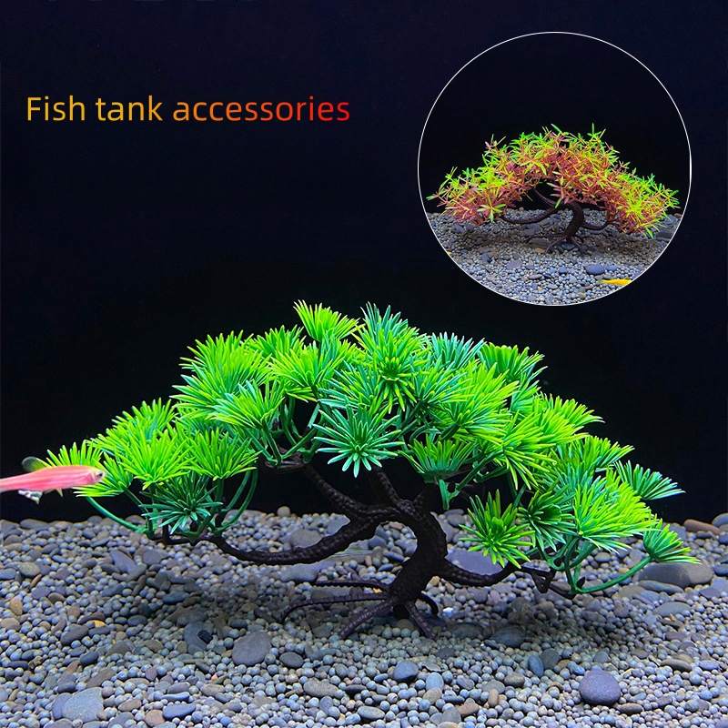 Arbre bonsaï d'aquarium, plant - Aquarium Planted Seeds avis et prix
