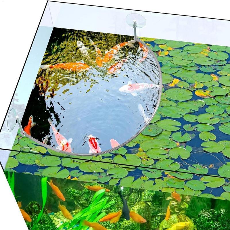 Anneau d'alimentation pour poi - Planted Aquarium Equipment avis et prix