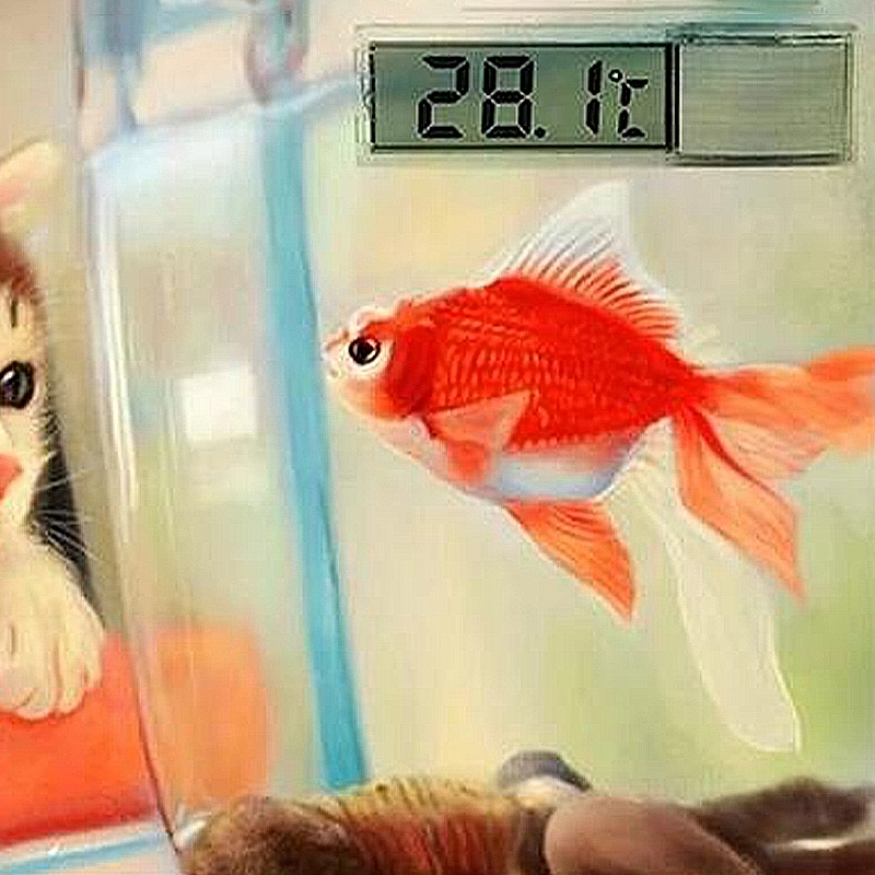 Thermomètre d'aquarium étanche - Aquarium Planted Seeds avis et prix