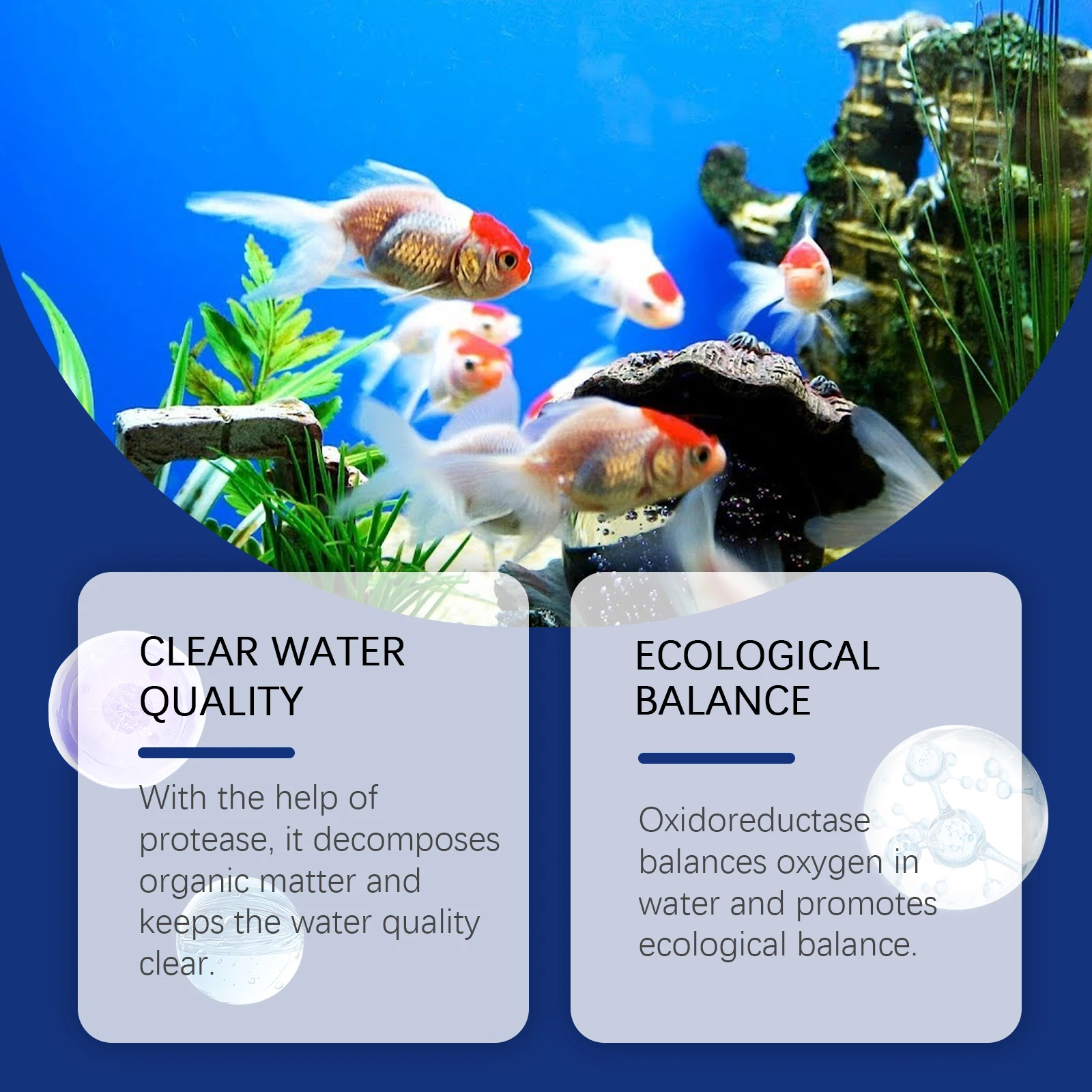 Chiarificateur d'eau d'aquariu - Aquarium Plant Liquid Fertilizer avis et prix