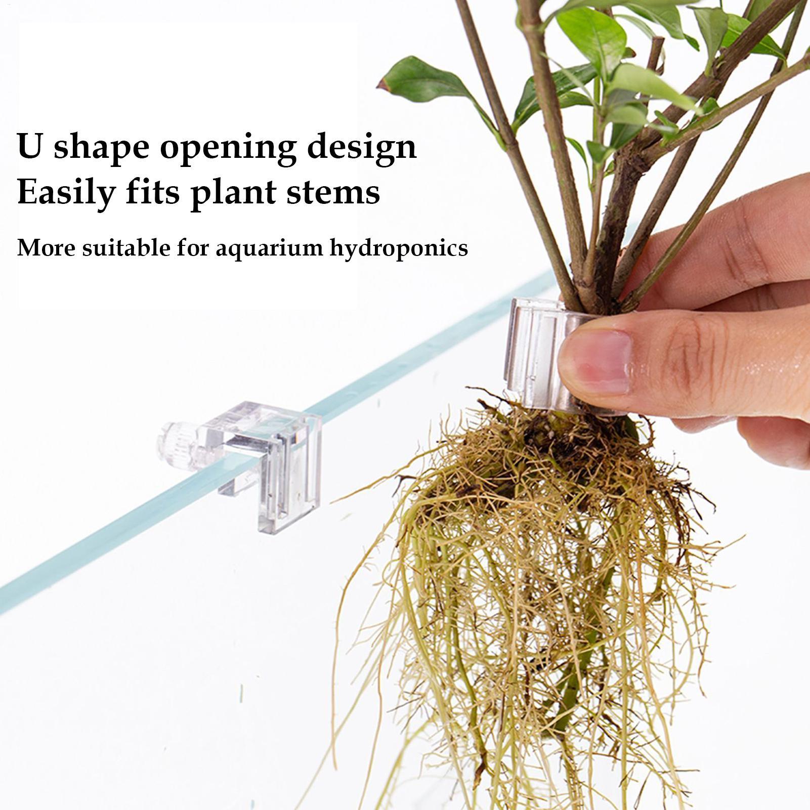 Support de plantes pour aquari - Aquarium Plant Diseases avis et prix