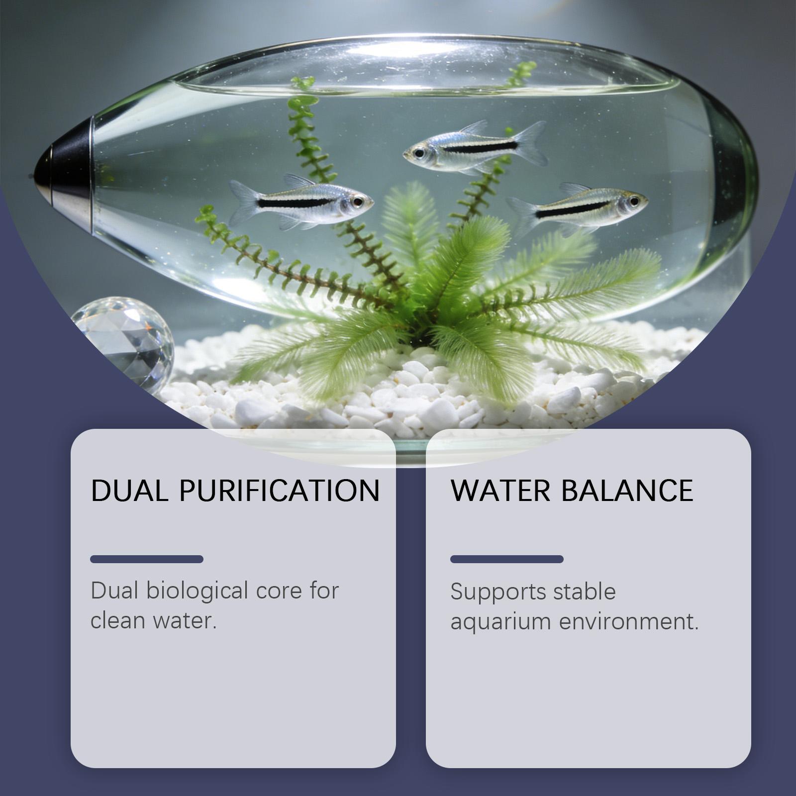 Comprimés anti-algues pour aqu - Planted Aquarium Algae Remover avis et prix