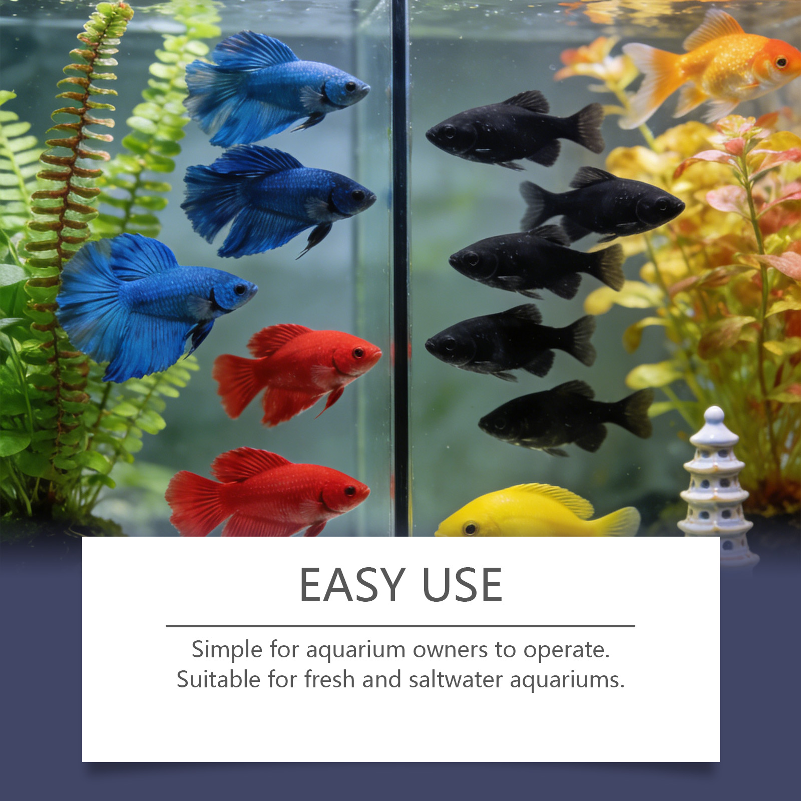 Comprimés anti-algues pour aqu - Planted Aquarium Algae Remover avis et prix