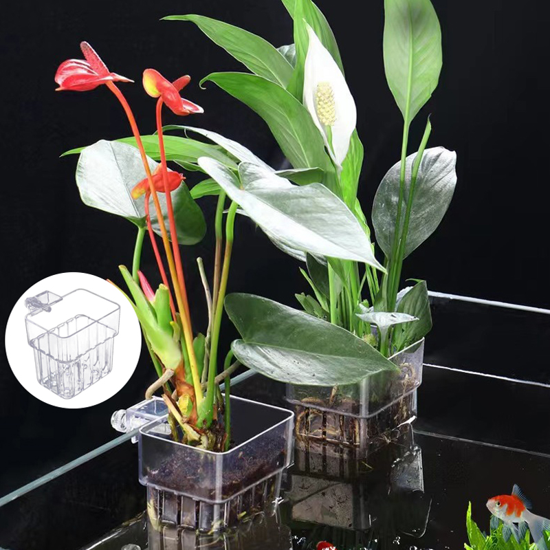 Tasse de plantation d'eau d'aq - Aquarium Plant Grass avis et prix