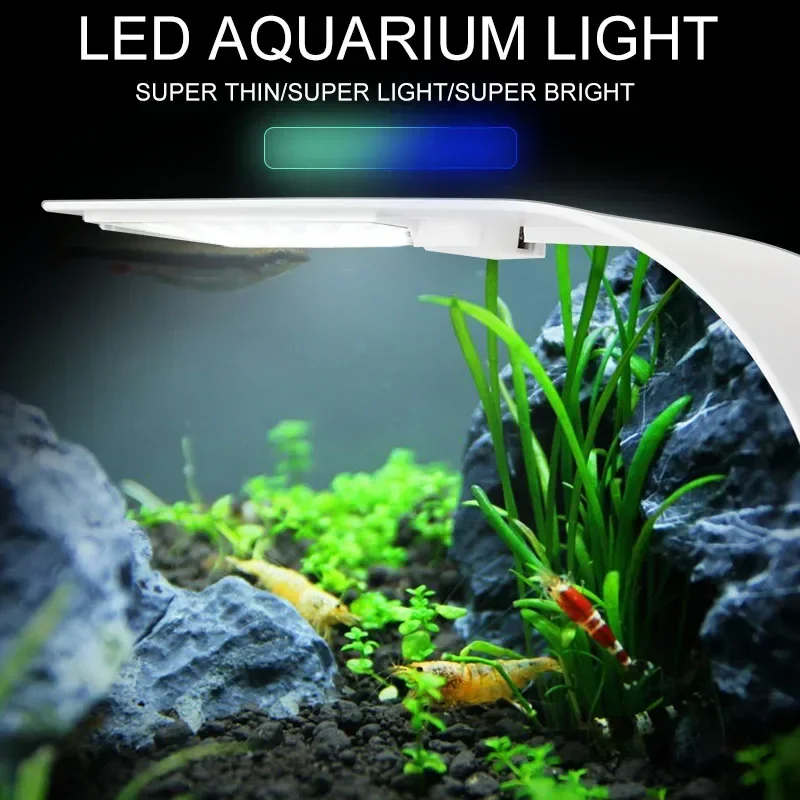 Lumière d'aquarium LED Ultra m - Aquarium Plant Diseases avis et prix