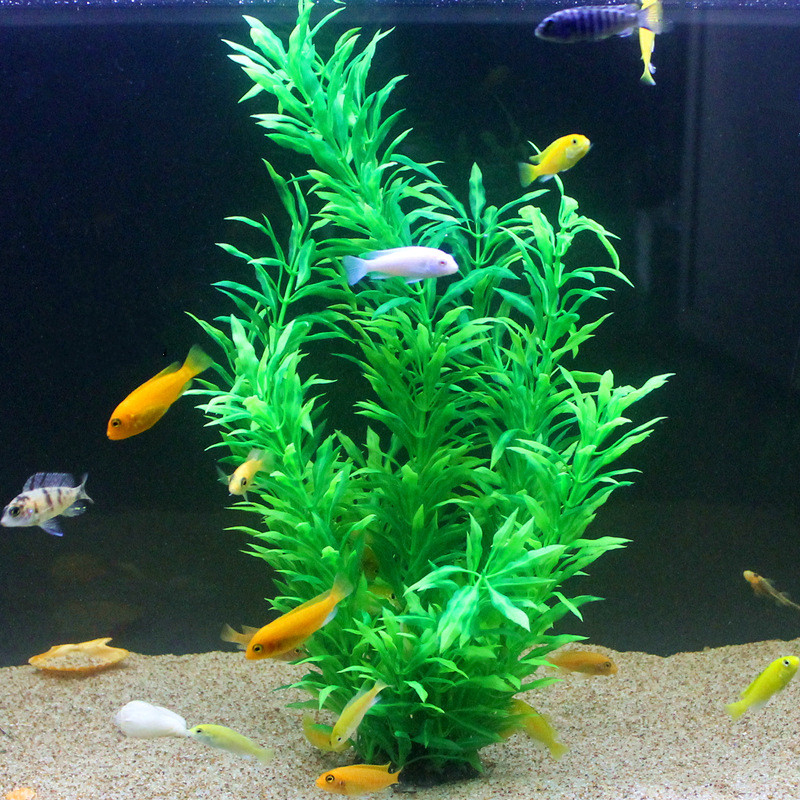 Plantes artificielles pour aqu - Planted Aquarium Equipment avis et prix
