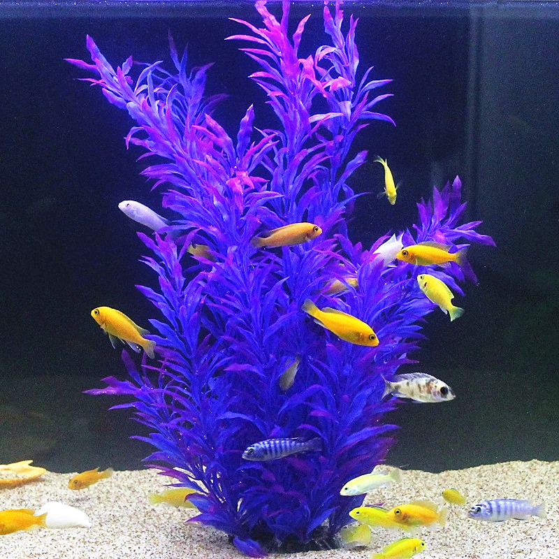 Plantes artificielles pour aqu - Planted Aquarium Equipment avis et prix