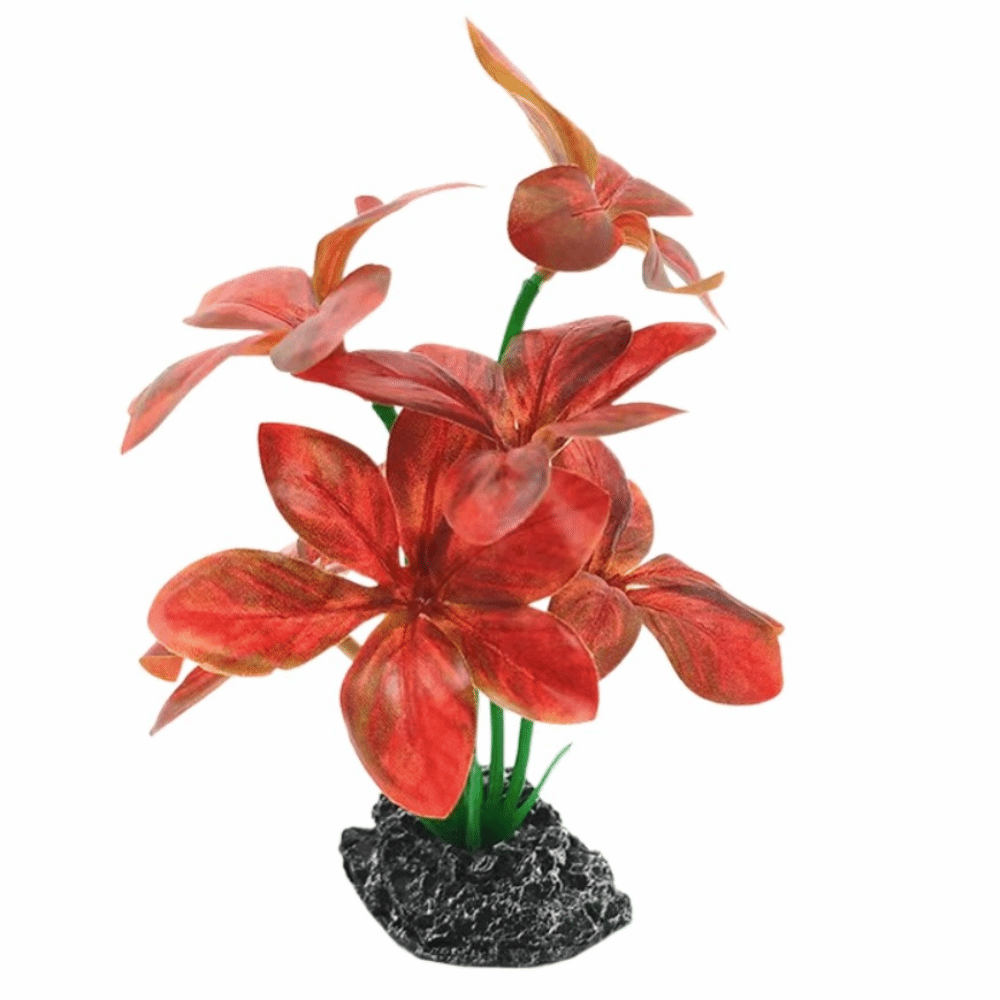 Plantes d'aquarium en matière  - Planted Aquarium Materials avis et prix