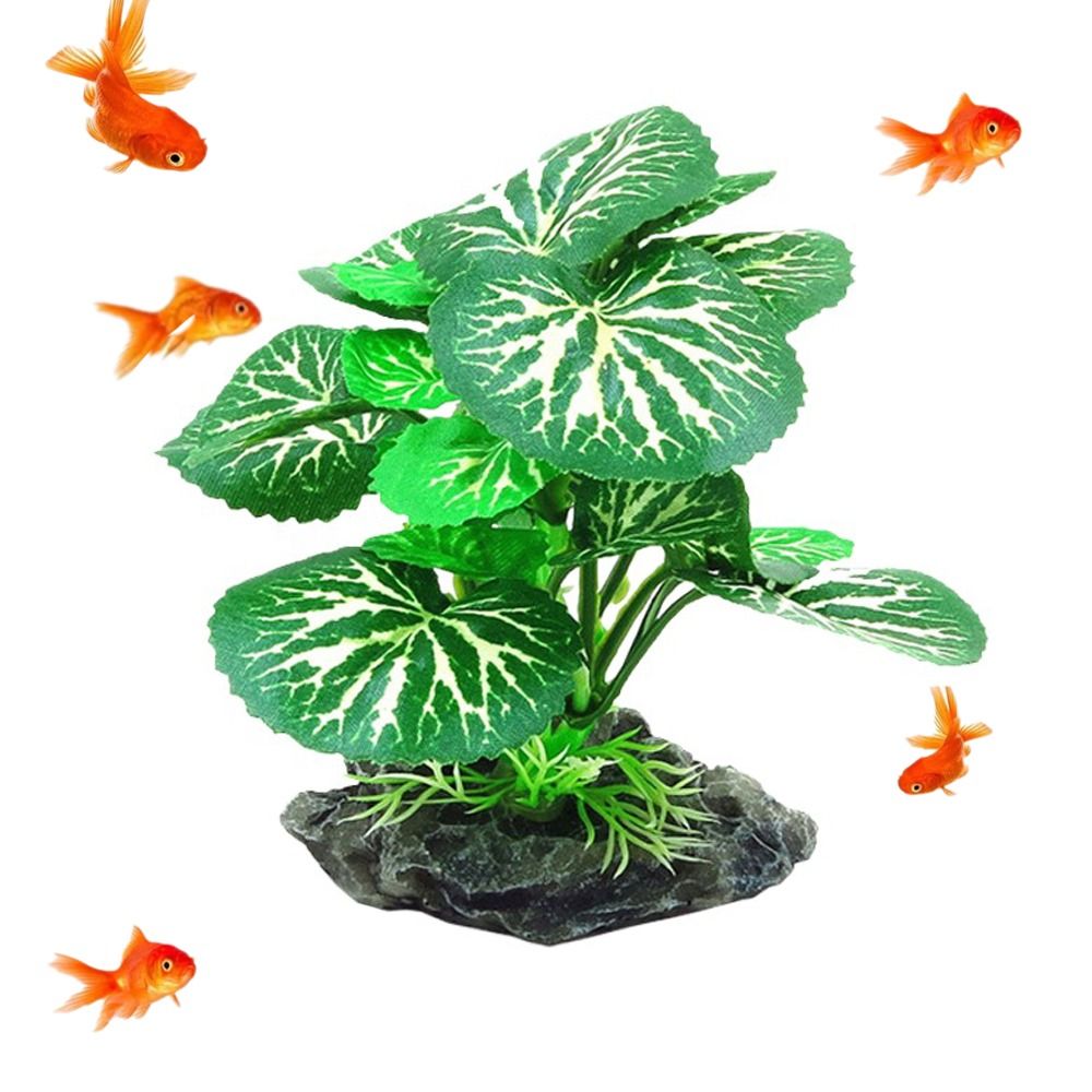 Plantes d'aquarium en matière  - Planted Aquarium Materials avis et prix