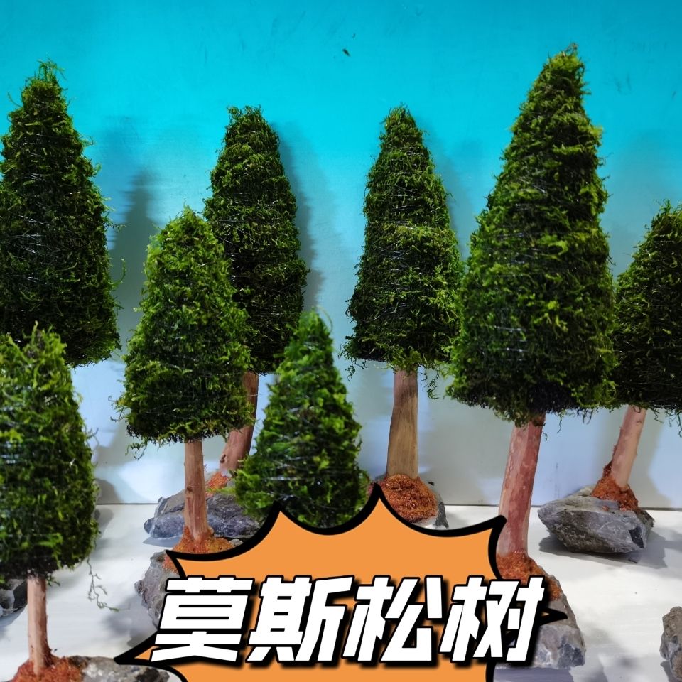 Décoration d'aquarium avec pla - Aquarium Planted Seeds avis et prix