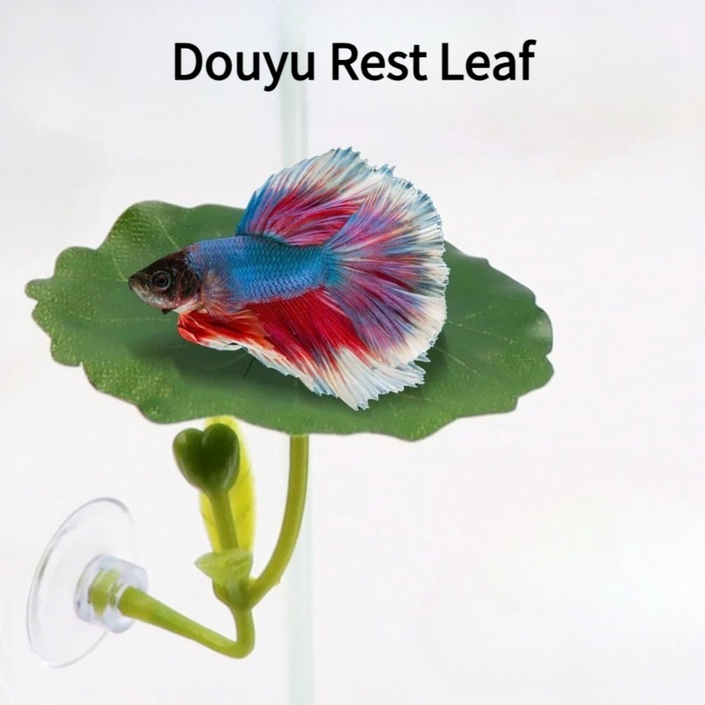 1 pièce de hamac pour poissons - Planted Aquarium Betta avis et prix