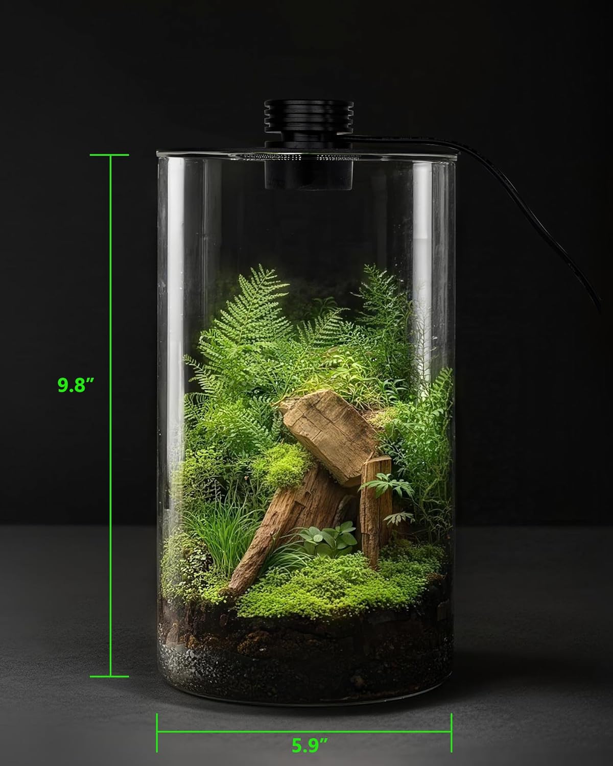 Terrarium en verre d'intérieur - Aquarium Plant avis et prix