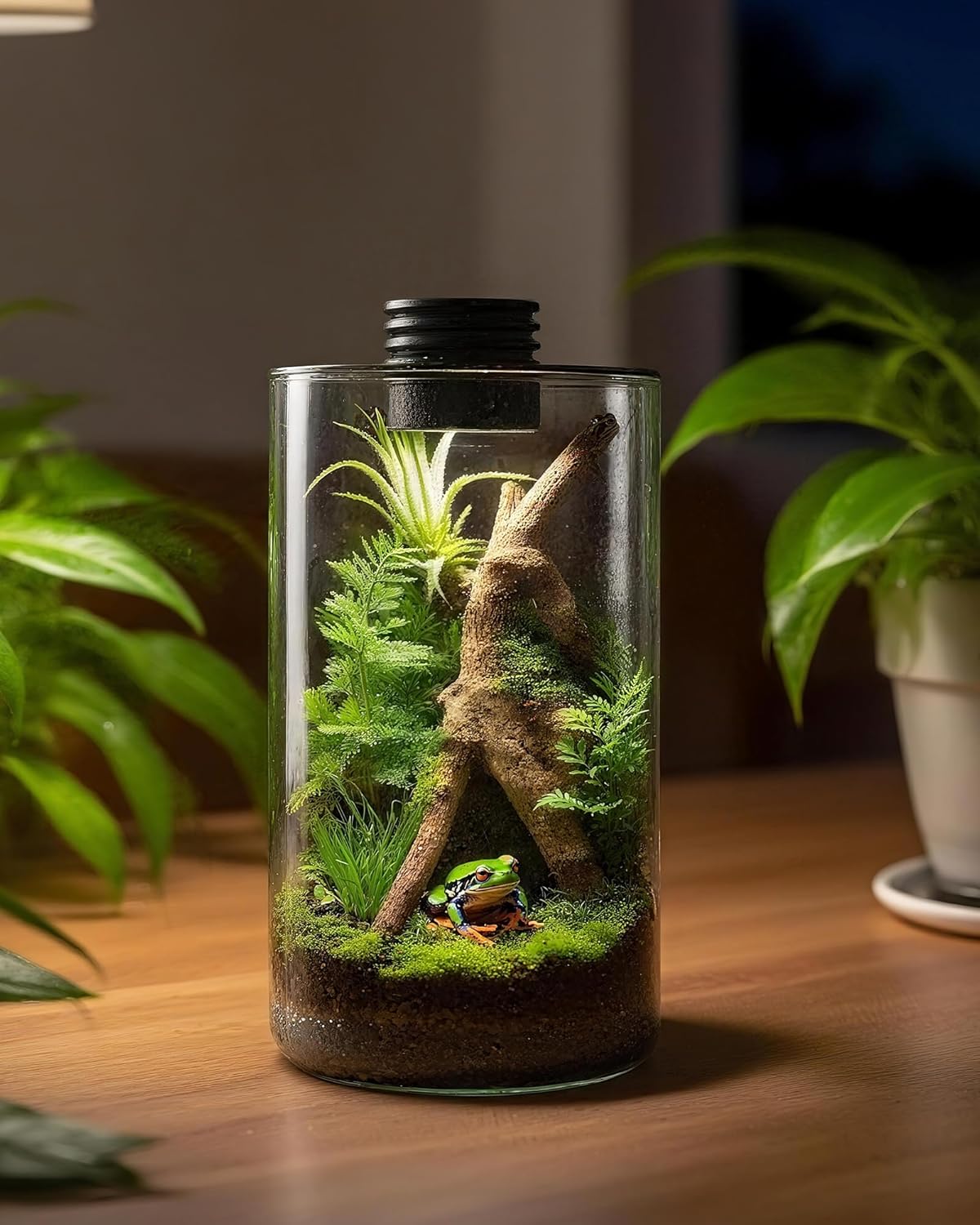 Terrarium en verre d'intérieur - Aquarium Plant avis et prix